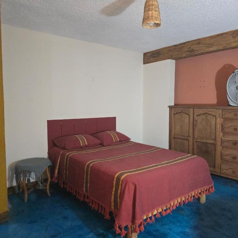 Casa Donaji Guest House - Chambre Double Standard avec Salle de Bains Commune - 18