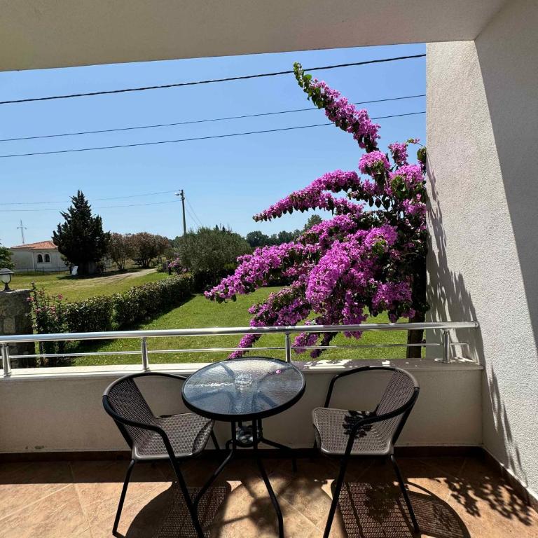 Sunrise house apartments - Apartment - 23