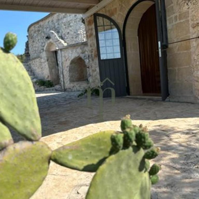 Masseria Aurora Trullo Ulivo - Casa con 1 dormitorio - 7