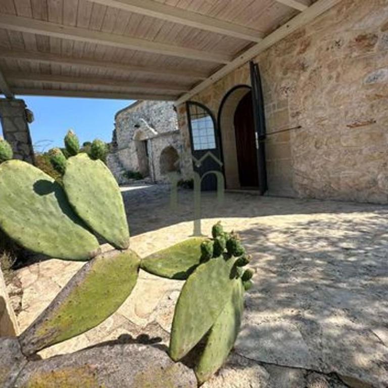 Masseria Aurora Trullo Ulivo - Casa con 1 dormitorio - 12