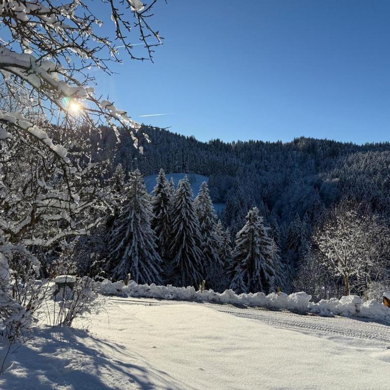 Alpe Sonnenruh - Haus mit 5 Schlafzimmern - 38