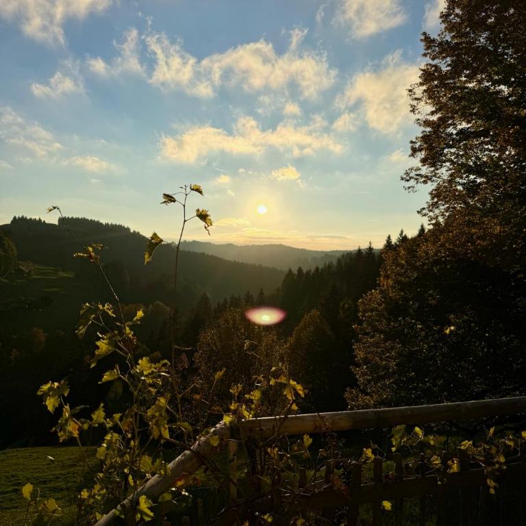 Alpe Sonnenruh - Haus mit 5 Schlafzimmern - 36