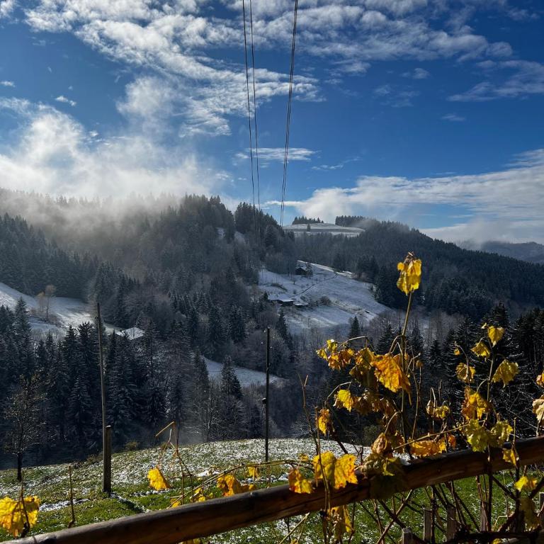 Alpe Sonnenruh - Haus mit 5 Schlafzimmern - 37