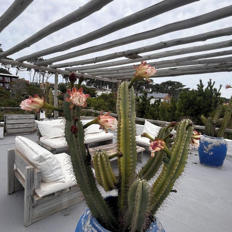 Spacious 4-bedroom house with a pool across the street from Ocean Park beach - Casa - 21