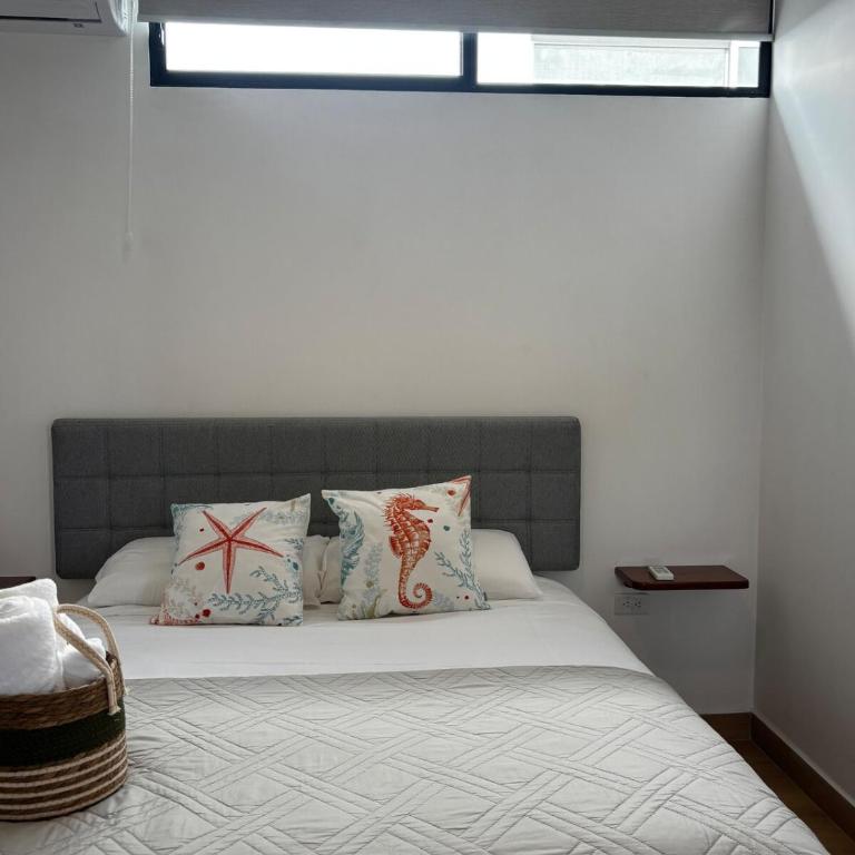 Native, like living in the Galapagos - Two-Bedroom Apartment with View - 7