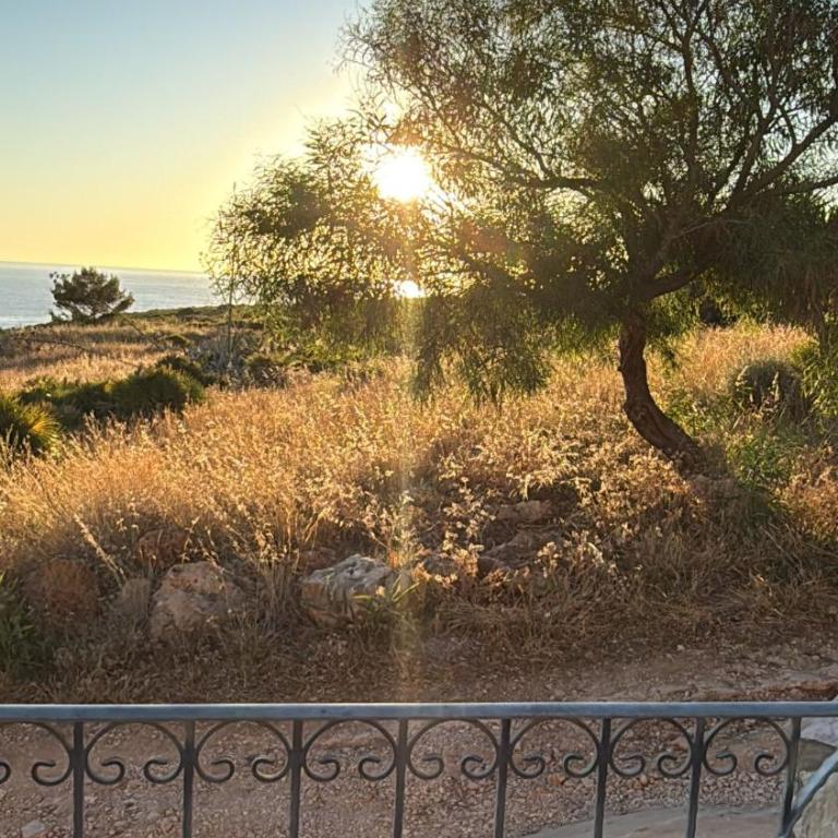 Villa Enza - fronte Mare - Villa con Vista Mare - 37