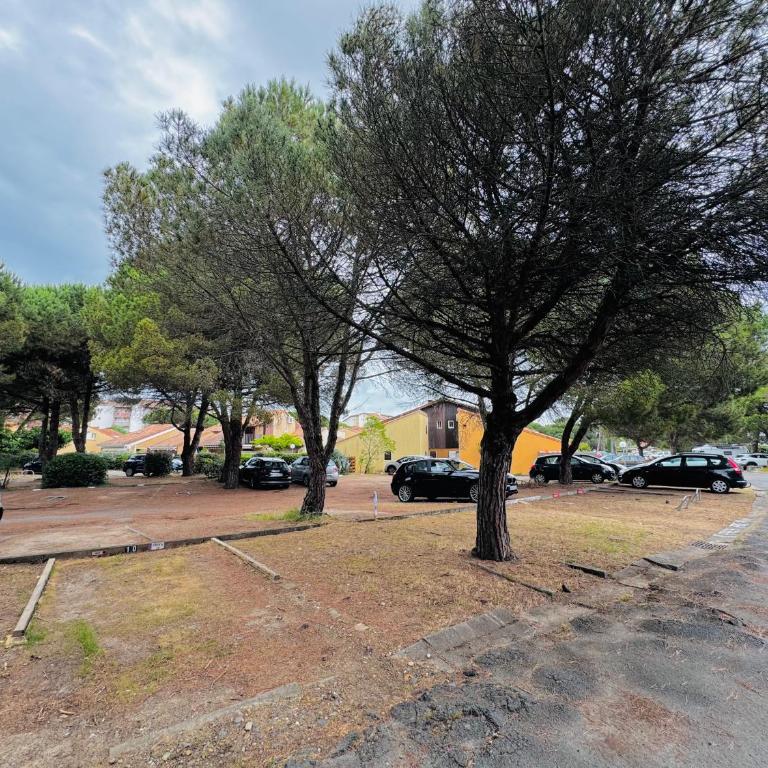 Studio avec Jardin & Parking Privés - Port de Capbreton - Appartement 1 Chambre - 41