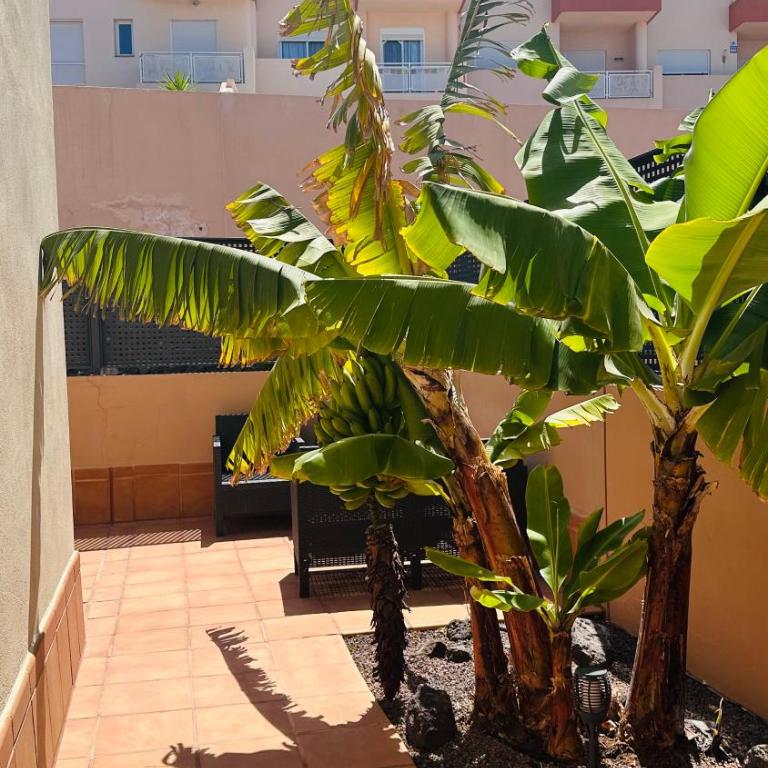 Ocean Sunset House - Maison 2 Chambres - 9