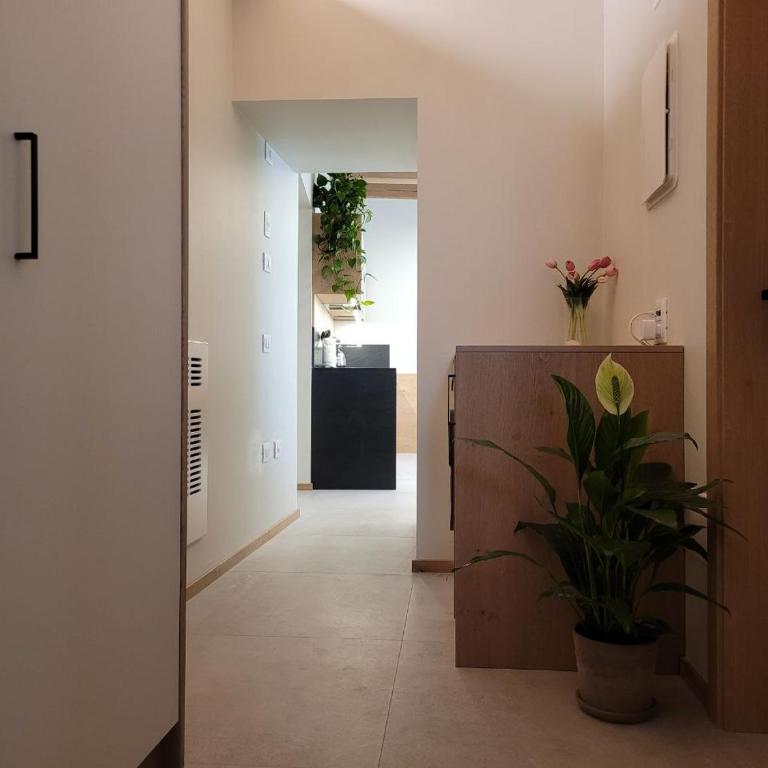 Magnolia Rosa - Levico - Apartamento de 1 dormitorio - 12