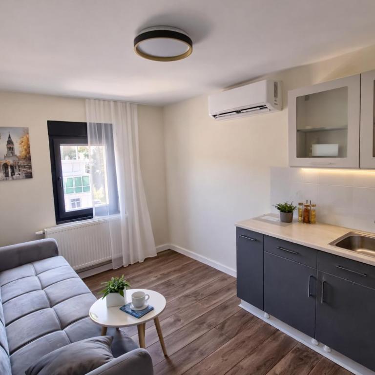 Apartmani Sjenjak Prestige - One-Bedroom Apartment with Balcony and City View - 1
