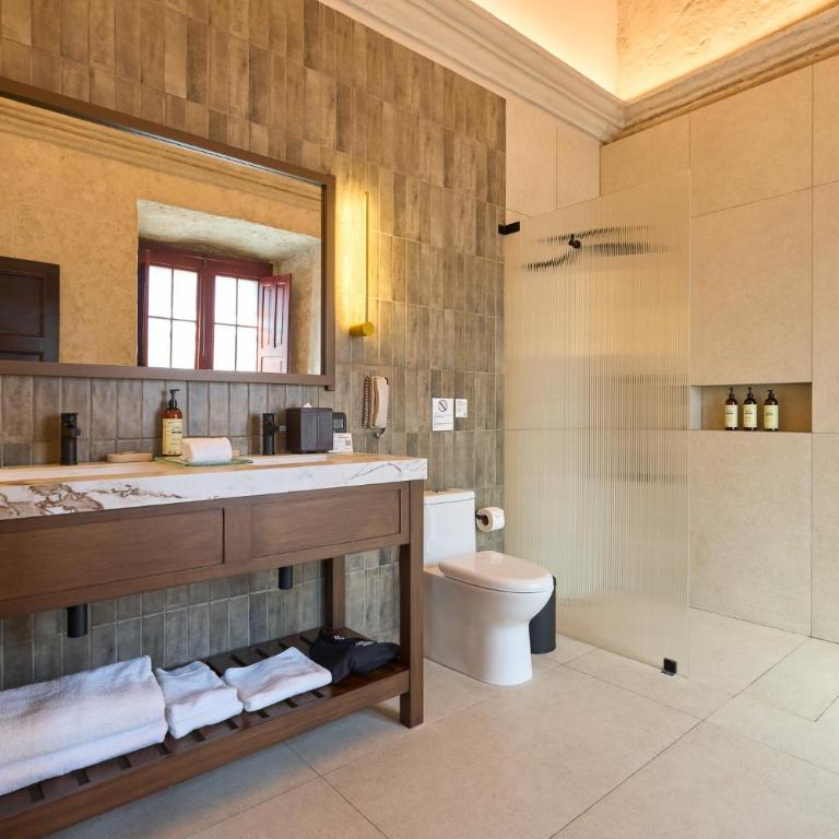 Casa Andina Premium Arequipa - Suite Superior - 1