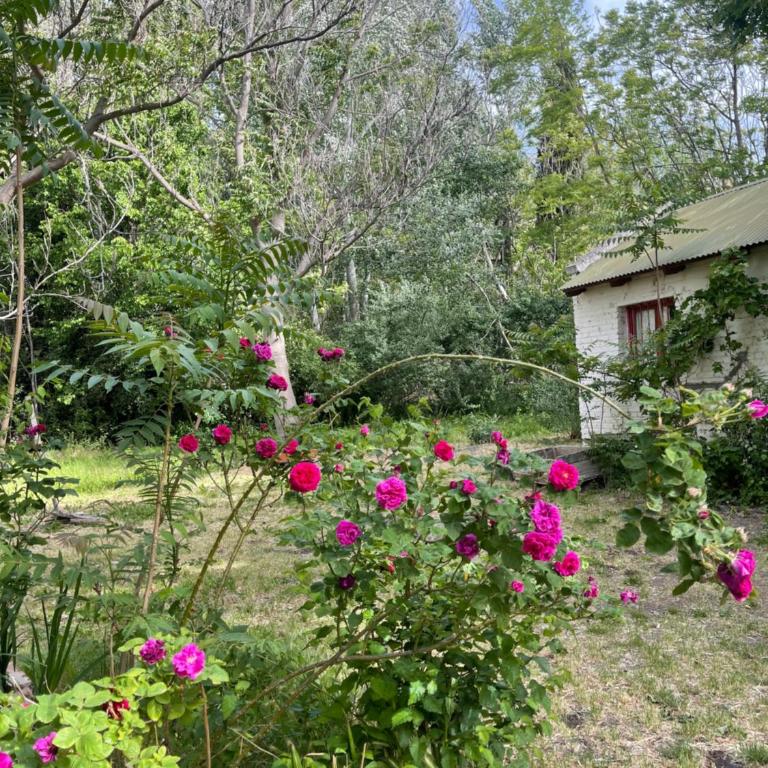 Casa rural junto al Río Chubut Ty'r Bont Trelew Gaiman - Casa con 1 dormitorio - 42
