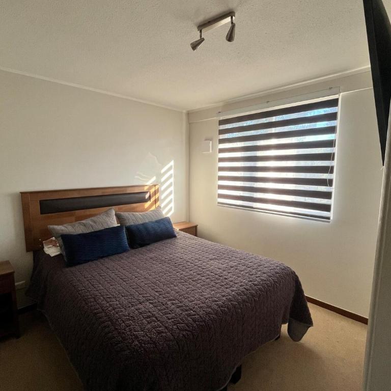 Acogedor apartamento en Valle Volcanes - One-Bedroom Apartment - 4
