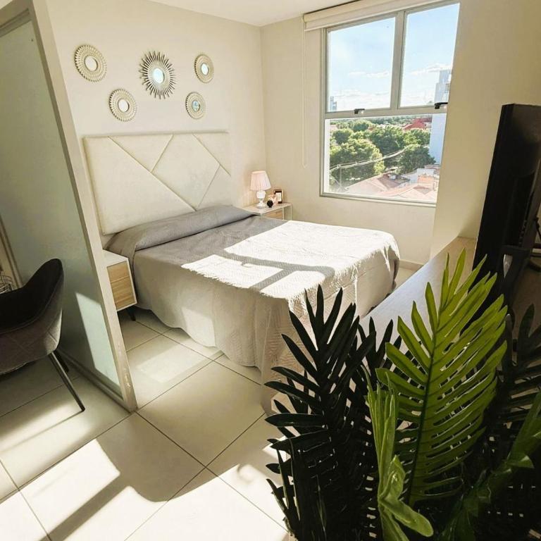 Asunción Alquiler Temporario Gold Py - Apartamento de 1 dormitorio - 2