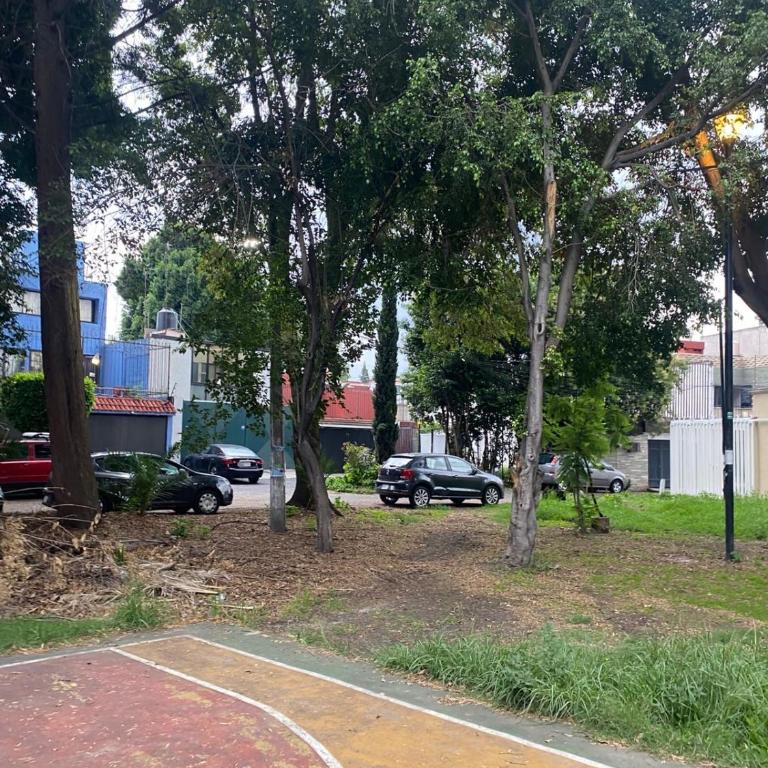 Comfortable studio 20 minutes from Estadio Azteca - Apartamento de 1 dormitorio - 13