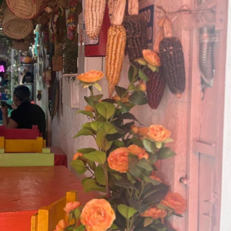 Comfortable studio 20 minutes from Estadio Azteca - Apartamento de 1 dormitorio - 21