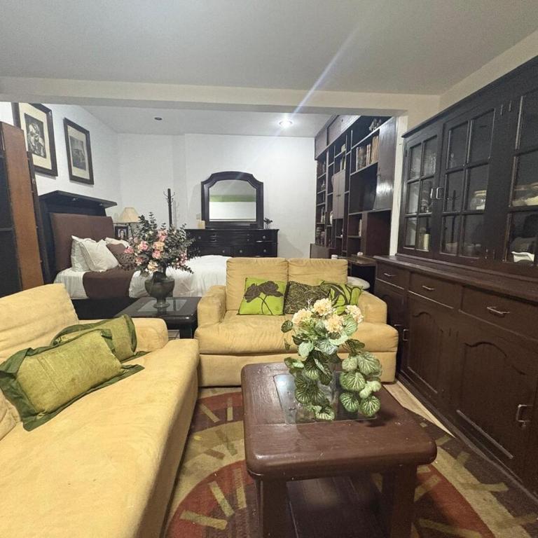 Comfortable studio 20 minutes from Estadio Azteca - Apartamento de 1 dormitorio - 26
