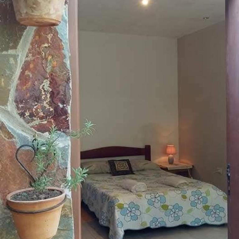 Bosque de Ángeles - Suite with Terrace - 17