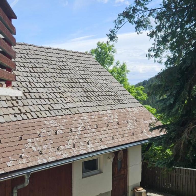 Troadkastn Schwoag - Ferienhaus - 25