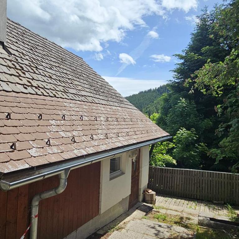 Troadkastn Schwoag - Ferienhaus - 27