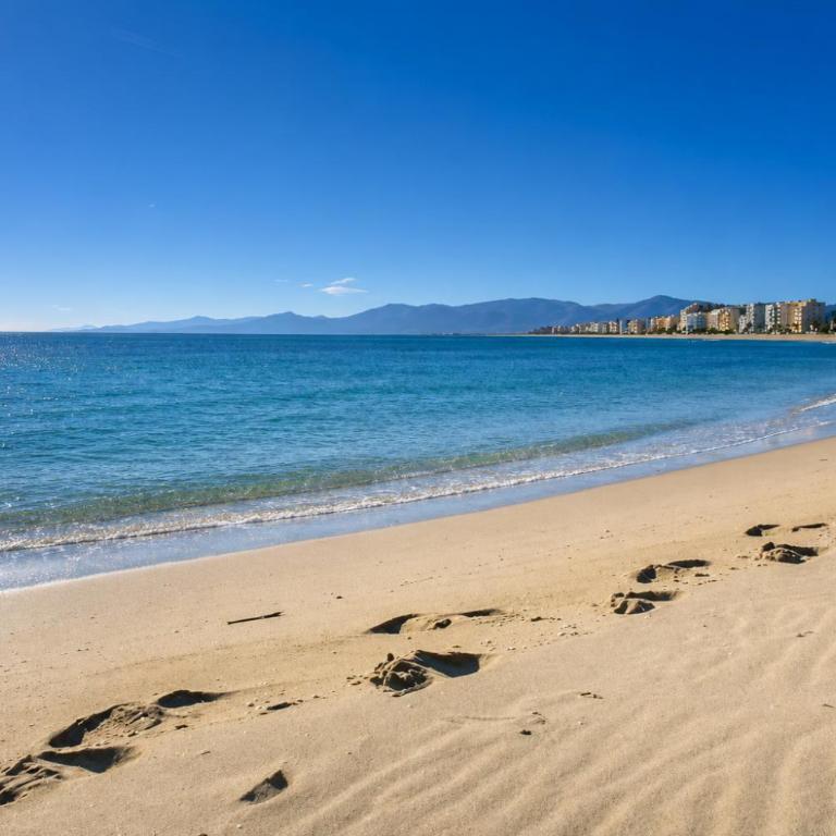 Canet-Plage TERRASSE SUD A 50M DE LA plage - Appartement 1 Chambre - 4