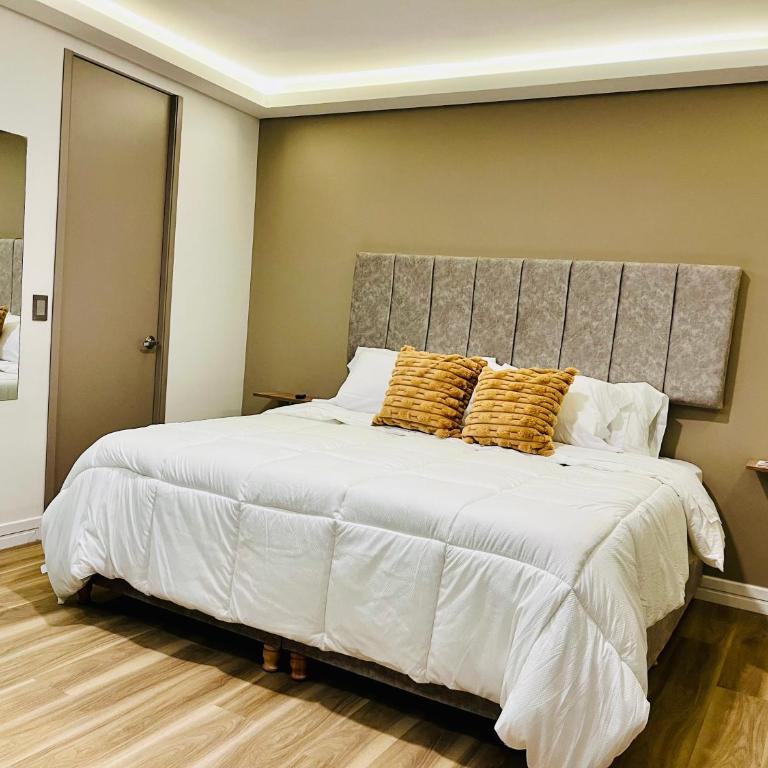 Lumina Hotel - Norte, confort y elegancia - Habitación Deluxe con cama extragrande - 50