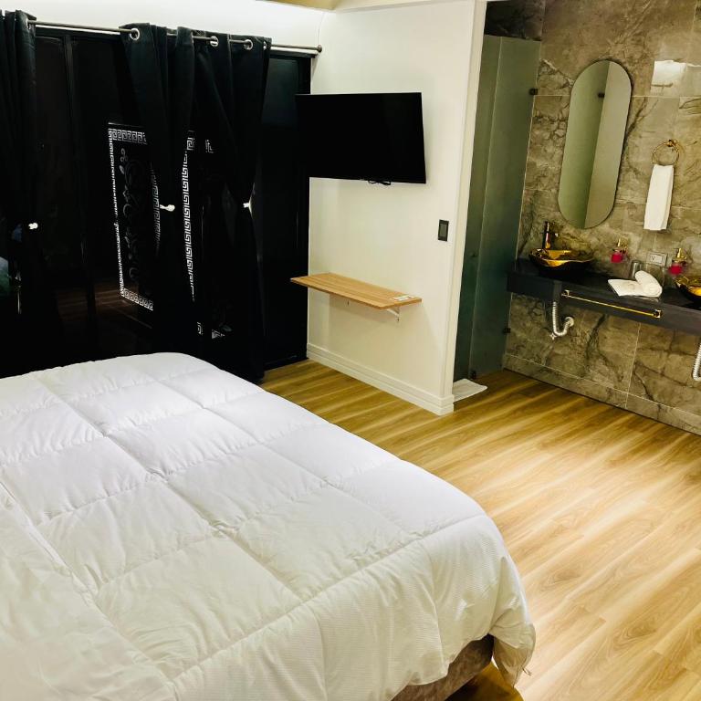 Lumina Hotel - Norte, confort y elegancia - Habitación Deluxe con cama extragrande - 31