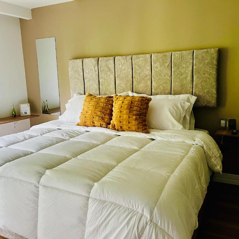 Lumina Hotel - Norte, confort y elegancia - Habitación Deluxe con cama extragrande - 25