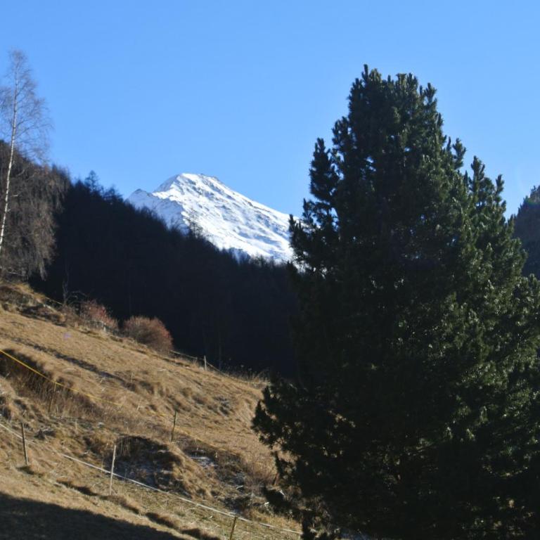 Chalet Mischabel - Ferienhaus - 52