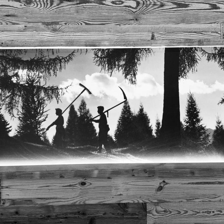 DaSte' ex Villa Ruggero - Camera Tripla Superior - 4
