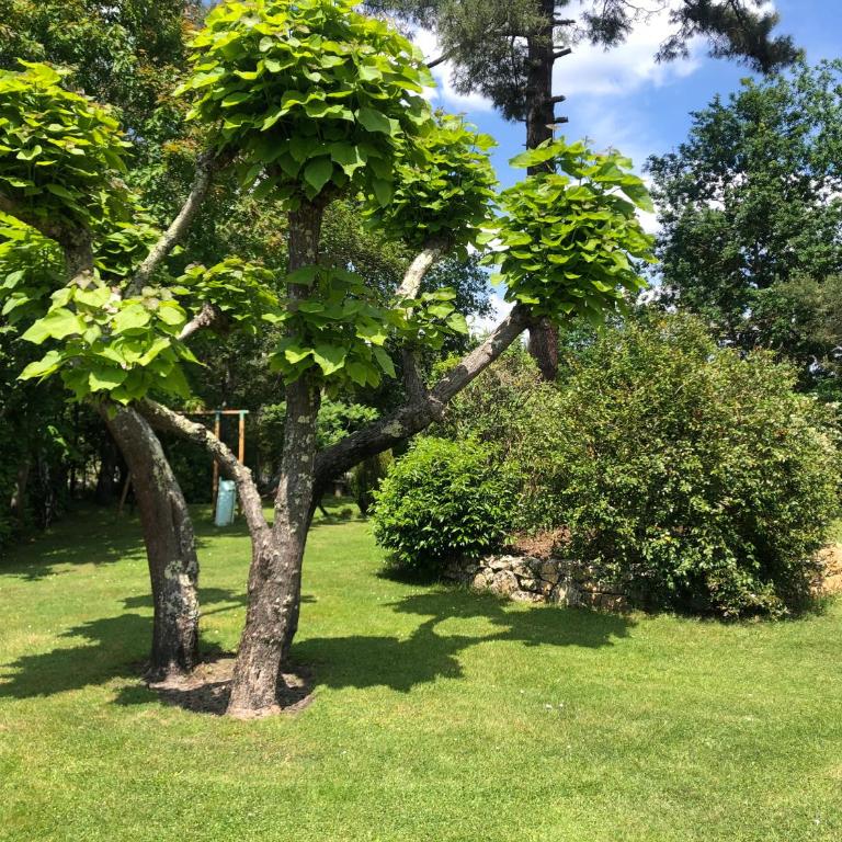 Villa au milieu des pins climatisée - Villa - 5
