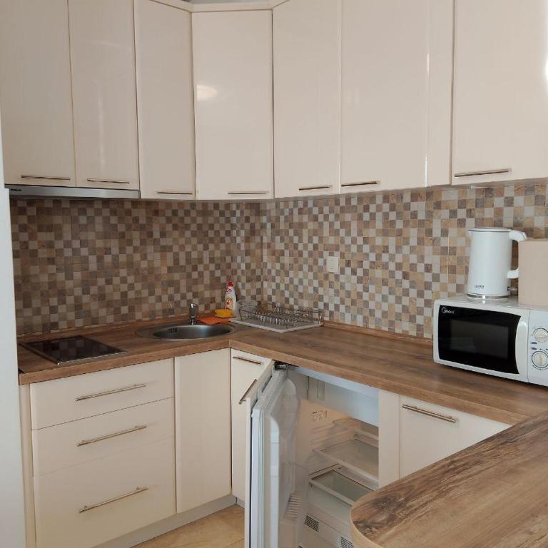 Lotus Apartmani Bečići - Apartman sa 1 Spavaćom Sobom - 6