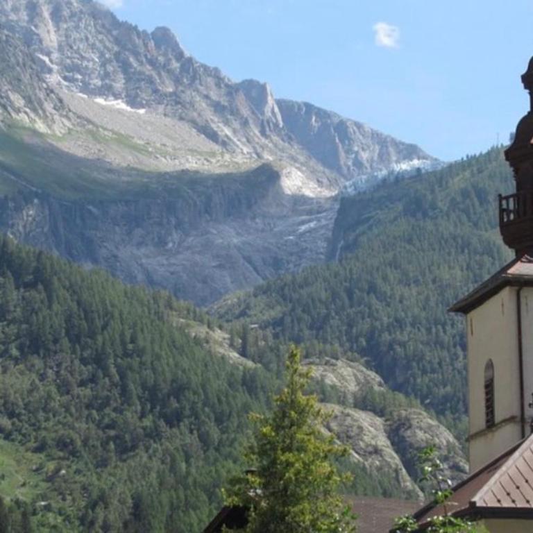 Renovated flat at the foot of the Grands Montets - Apartment - 21