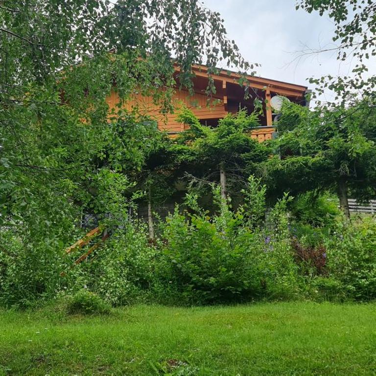 Almhaus "Sonnenschein" - Ferienhaus - 23