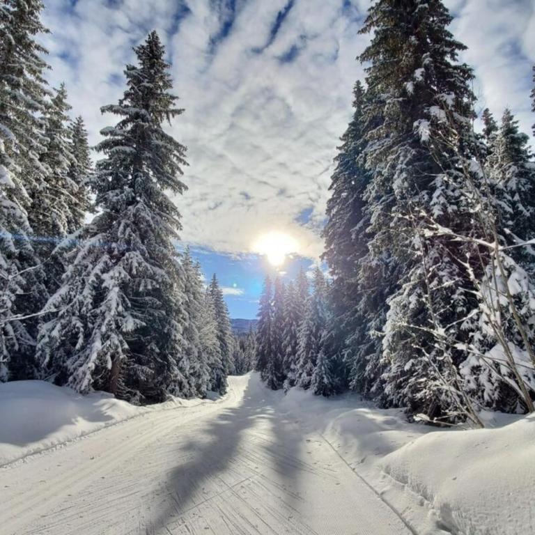 Cozy apartment "WAPITI" at the foot of the slopes - Appartamento con 2 Camere da Letto - 25