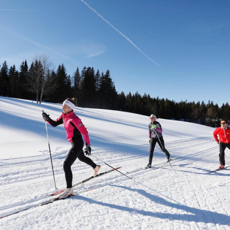 Cozy apartment "WAPITI" at the foot of the slopes - Appartamento con 2 Camere da Letto - 43