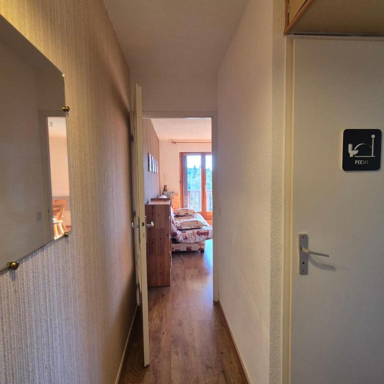 Appartement 4 personnes au pied des pistes - Appartement 1 Chambre - 19