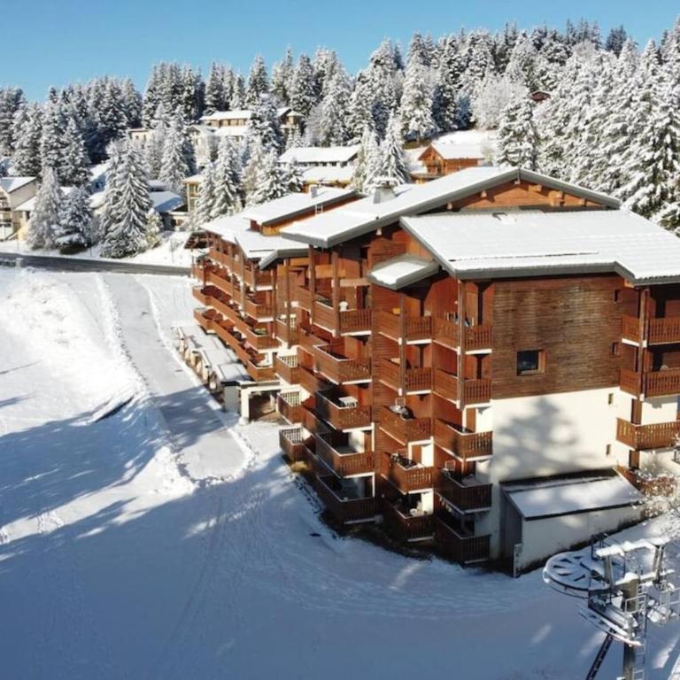 Superbe appartement au pied des pistes -Le chamois - Appartement 1 Chambre - 24