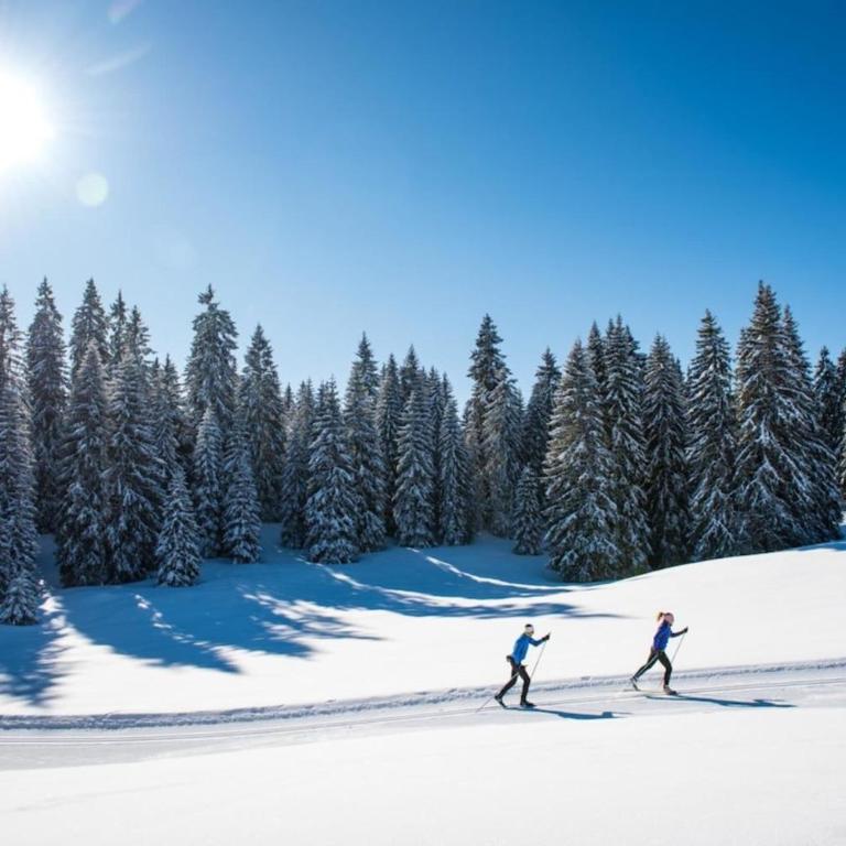 Superbe appartement au pied des pistes -Le chamois - Appartement 1 Chambre - 22