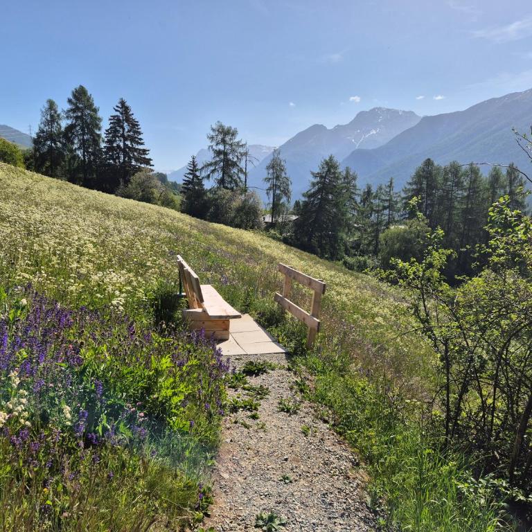Chasa Aquileia Engadin Scuol - Bergblick, 6 Pers, zentral, Terrasse, Gratisparken - Apartment mit Blick auf die Berge - 54
