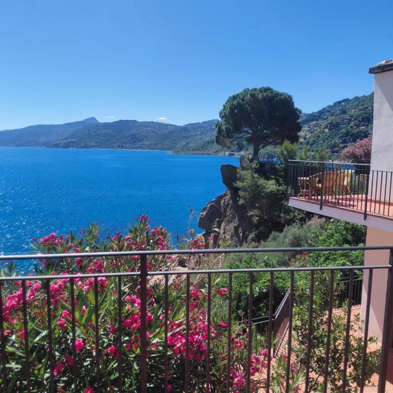 Villa Kalura con 2 Spiagge private & Vista Mare - Villa - 1