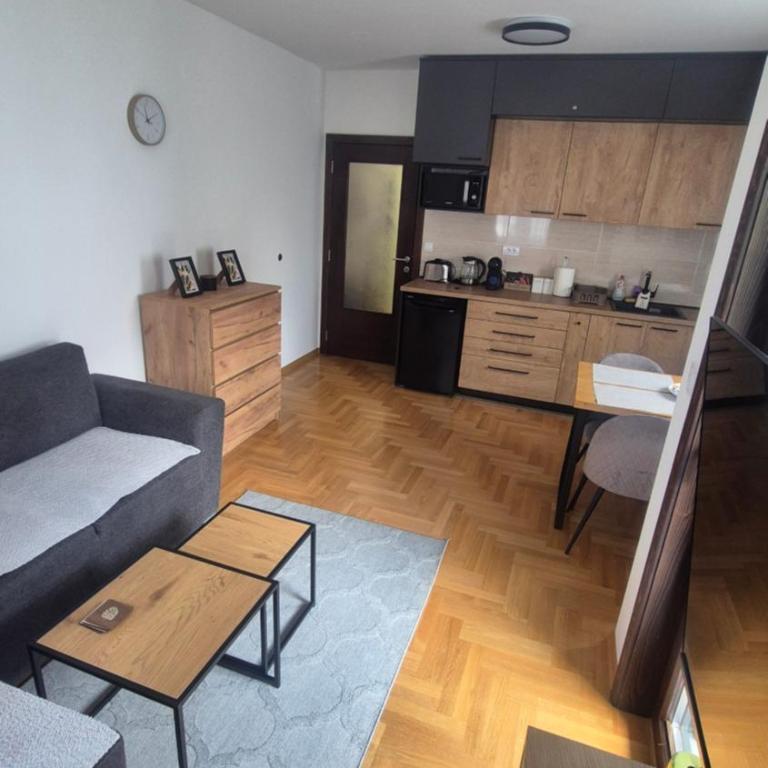 SiM Apartman Vrnjačka Banja - Apartman sa 1 Spavaćom Sobom - 19