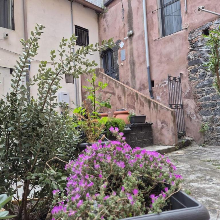 Agatha House - Appartement 1 Chambre - 1