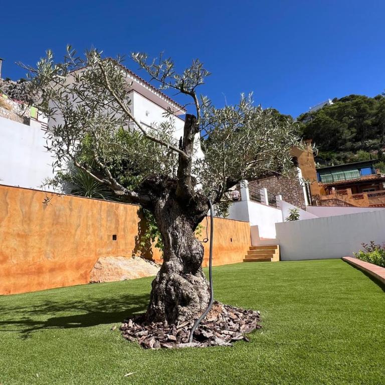 Mediterrània 21 - Casa con 3 Camere da Letto - 35