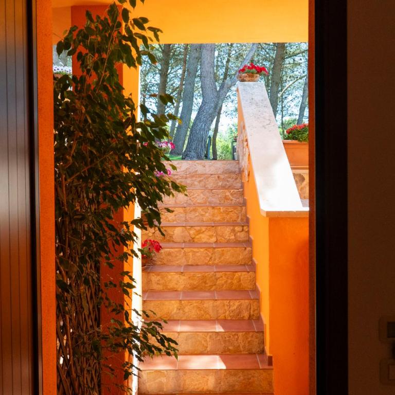 Sole del Mediterraneo - Chambre Double Standard - 5