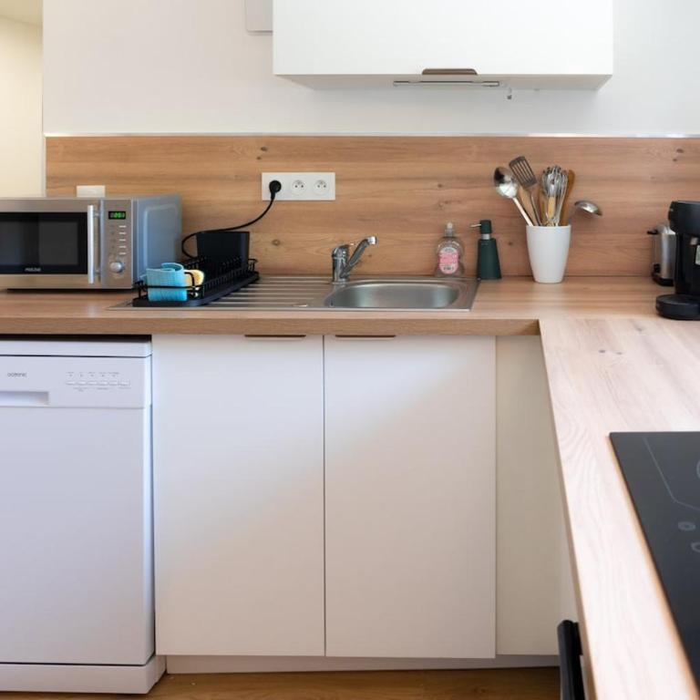 Ground floor apartment, garden bikes ,between lake and ocean - Appartement 2 Chambres - 16