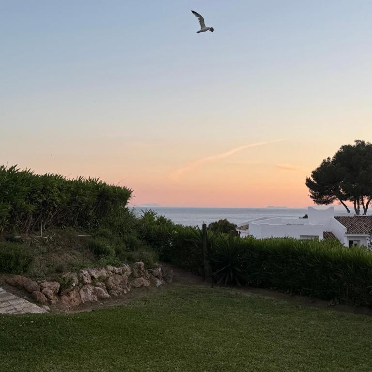 Sea View Oasis in Rancho Mirafloress - Appartamento con 1 Camera da Letto - 8