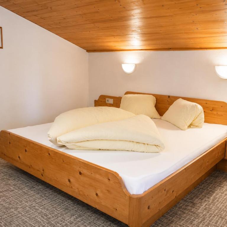 Aparthotel Iris - inklusive Wildschönau Premium Card - Familienzimmer mit Bergblick - 1