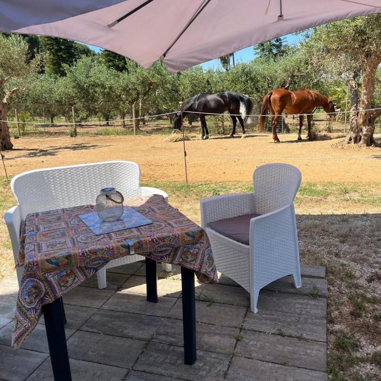 Casa RALIVO di Sicilia - Casa con 1 Camera da Letto - 10