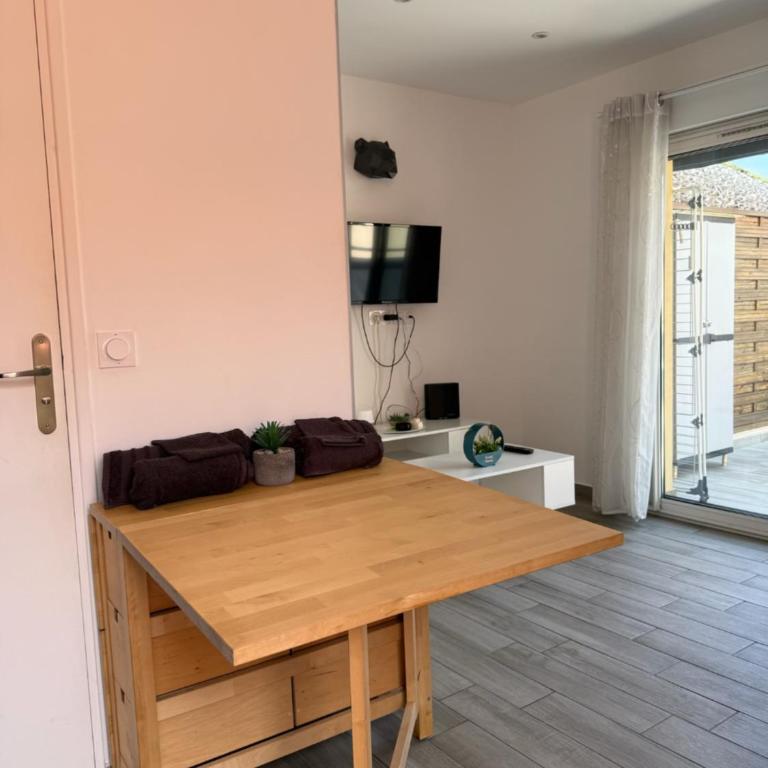 Sunny studio - Magnan, Tramway-Proche aéroport - Appartement 1 Chambre - 4